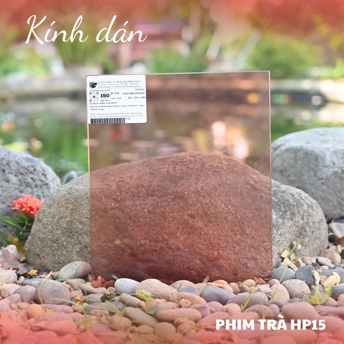 Kính dán trà đỏ HP15