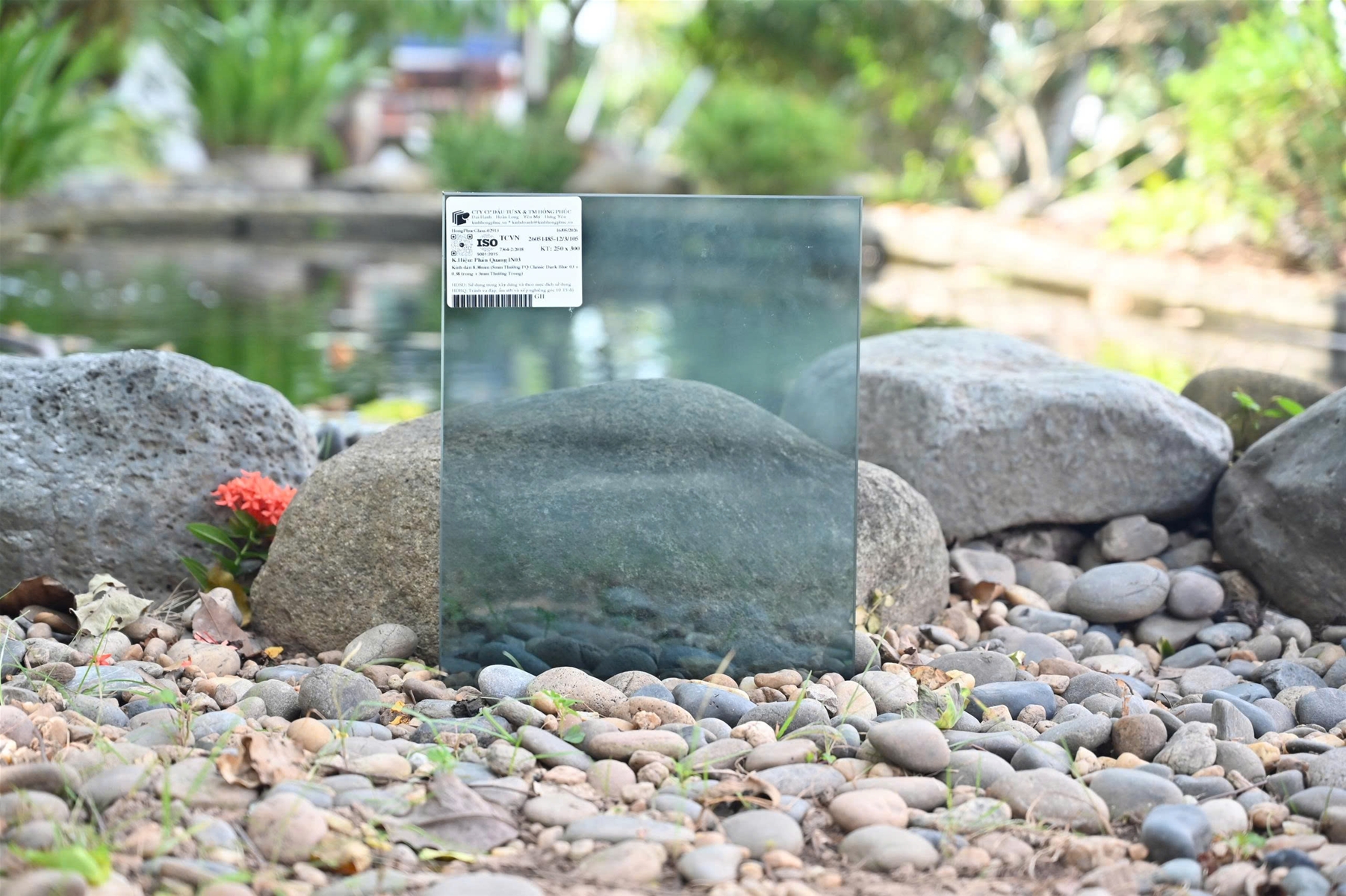 Kính phản quang Hồng Phúc